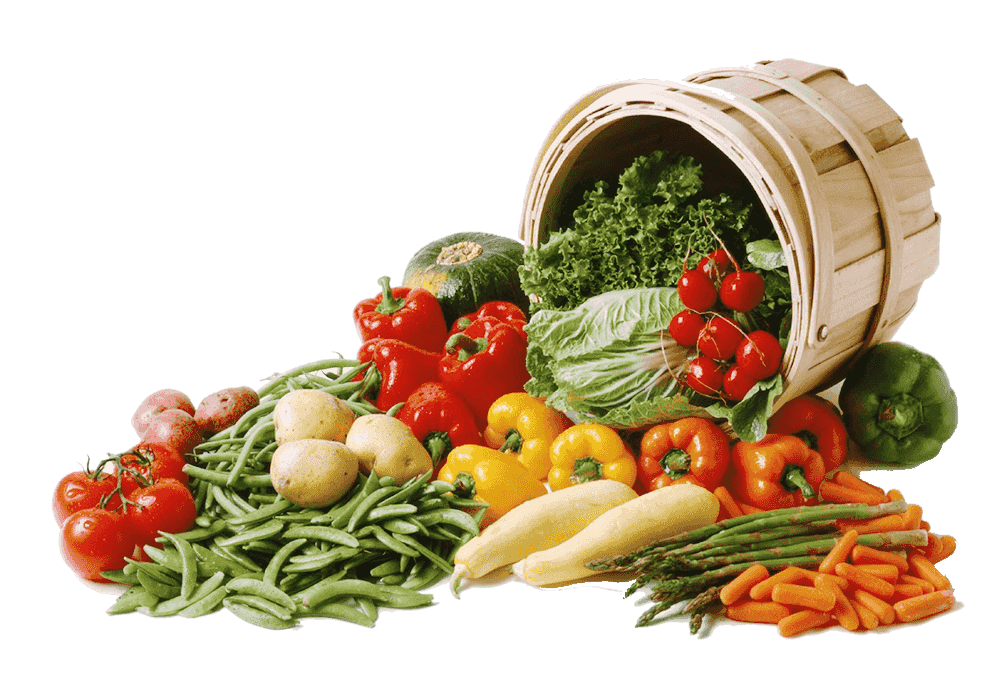 Il cibo biologico è ormai ampiamente disponibile